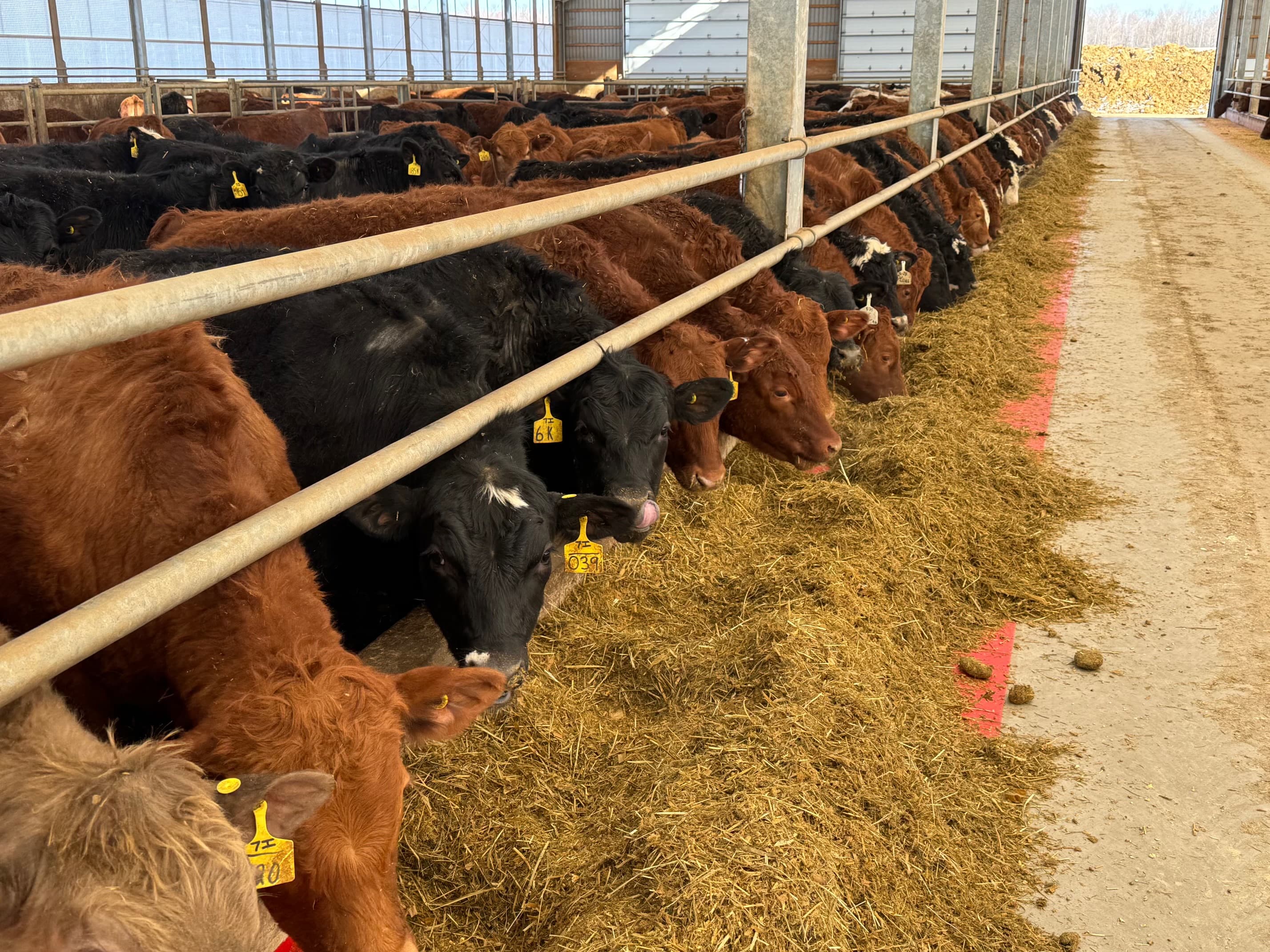 Efficient herd tracking system